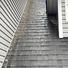 Roof-Soft-Washing-in-Pullman-1 0